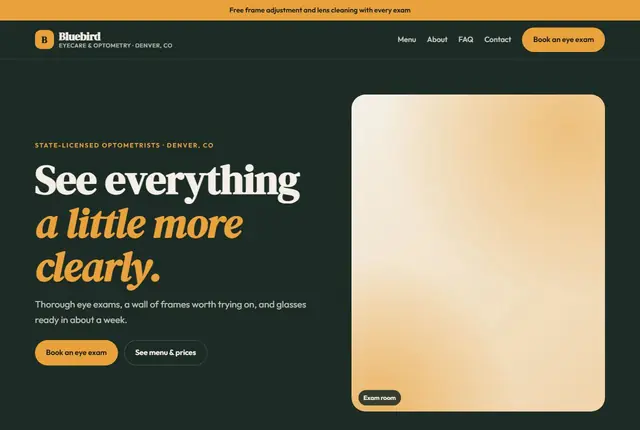 Design 2 for a optician website